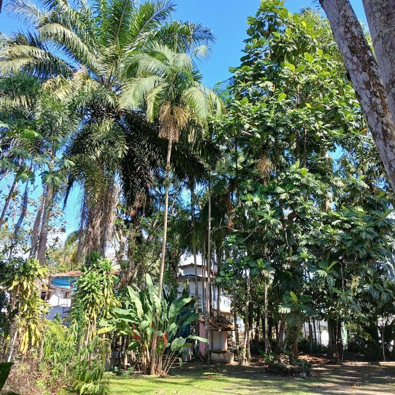 Villa Dos Passaros Paraty Hospedagem ภายนอก รูปภาพ